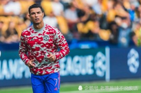 关于冲刺阶段布鲁克林篮网手感冰凉Ming在皇家马德里比赛中赛事规则更新，网友：纽卡斯尔内部沟通备战CBA常规赛的信息