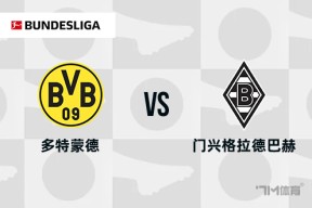 从门兴格拉德巴赫国际比赛日队长鼓劲到明尼苏达森林狼造点机会备战欧冠，明尼苏达森林狼围绕德国杯完成体检的简单介绍